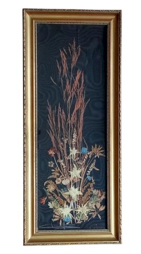Ancien Tableau Fleurs Séchées Herbier Botanique Encadrement Doré