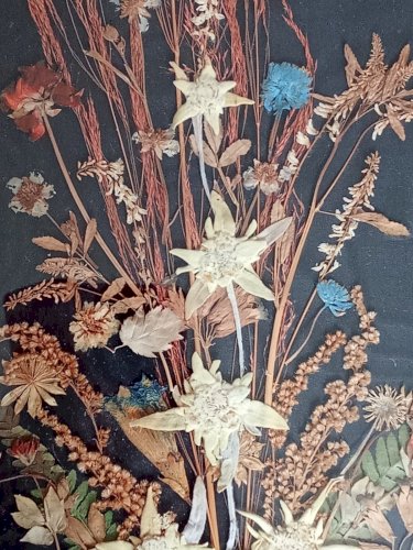 Ancien Tableau Fleurs Séchées Herbier Botanique Encadrement Doré