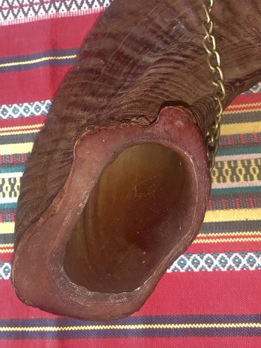Ancienne belle trompe d'appel en corne de bélier couleur acajou