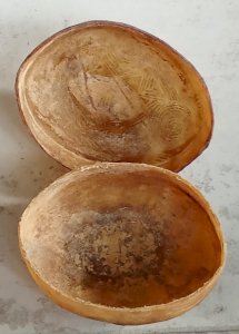 dot