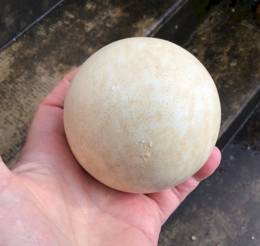 ANCIENNE  BOULE D ESCALIER EN FONTE DE FER ÉMAILLÉE BLANC CASSÉ OBJET DE METIER