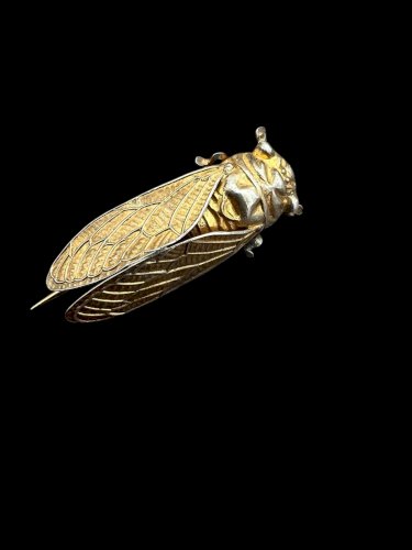 Ancienne Broche Cigale Argent Poinçon Sanglier Debut 20 Eme Unisexe Vintage