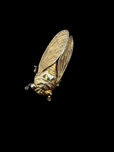 Ancienne Broche Cigale Argent Poinçon Sanglier Debut 20 Eme Unisexe Vintage