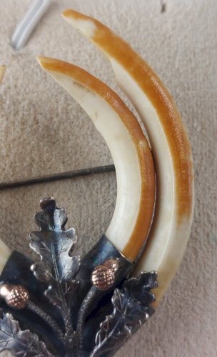 Ancienne broche, trophée de chasse, en argent