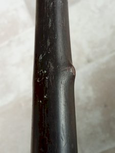 dot