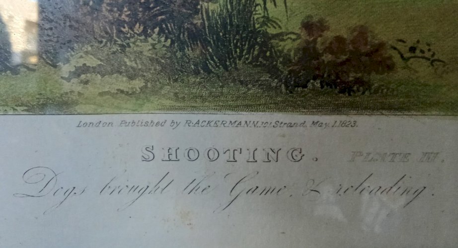 Ancienne Gravure Chasse Wolstenholme Shooting Dogs Engraved By  T. Sutherland