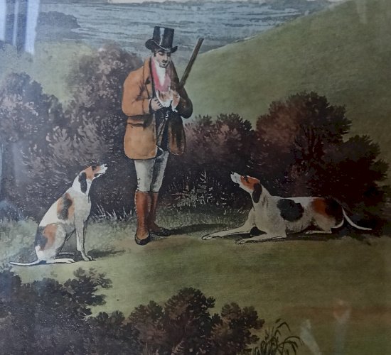 Ancienne Gravure Chasse Wolstenholme Shooting Dogs Engraved By  T. Sutherland