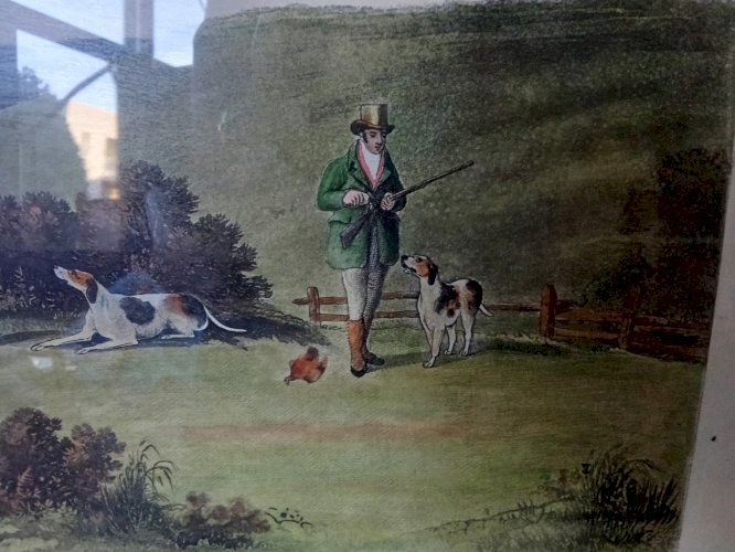 Ancienne Gravure Chasse Wolstenholme Shooting Dogs Engraved By  T. Sutherland