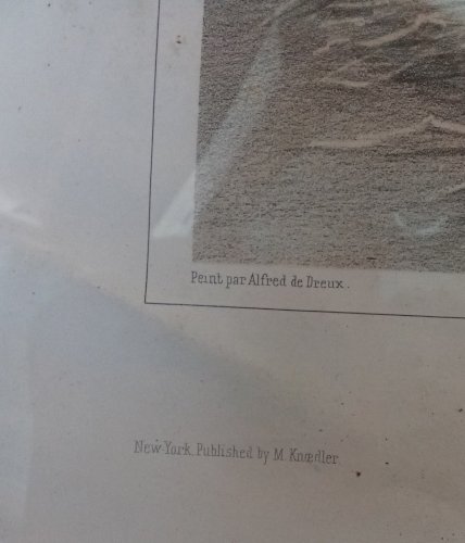 Ancienne gravure Chevaux de selle et d attelage Mille tonnerres Alfred de Dreux