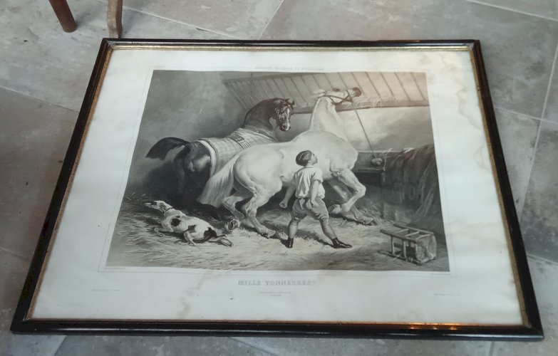Ancienne gravure Chevaux de selle et d attelage Mille tonnerres Alfred de Dreux