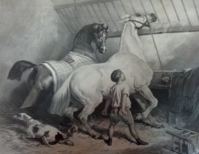 Ancienne gravure Chevaux de selle et d attelage Mille tonnerres Alfred de Dreux