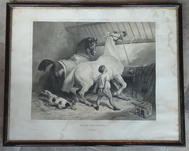 Ancienne gravure Chevaux de selle et d attelage Mille tonnerres Alfred de Dreux