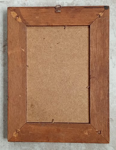 Ancienne Gravure Encadrée Lithographie Botanique Jo Jacobus de Rubeis