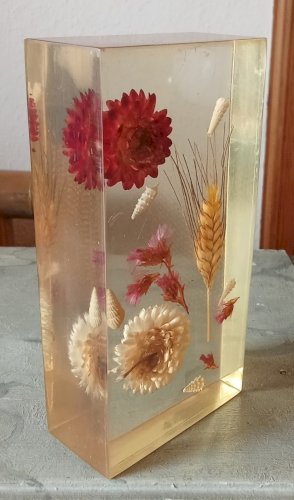 Ancienne Inclusion Résine Fleurs  Botanique Fleur 1970 Thistle Resin Inclusion