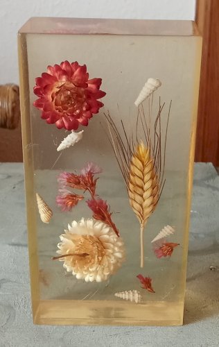 Ancienne Inclusion Résine Fleurs  Botanique Fleur 1970 Thistle Resin Inclusion