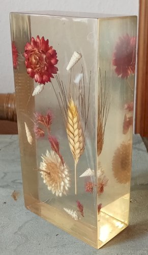 Ancienne Inclusion Résine Fleurs  Botanique Fleur 1970 Thistle Resin Inclusion
