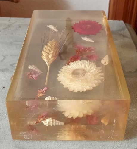 Ancienne Inclusion Résine Fleurs  Botanique Fleur 1970 Thistle Resin Inclusion