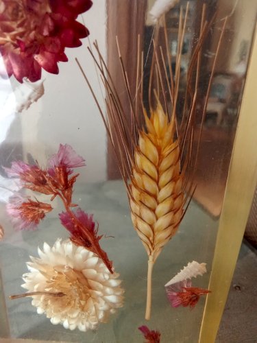 Ancienne Inclusion Résine Fleurs  Botanique Fleur 1970 Thistle Resin Inclusion