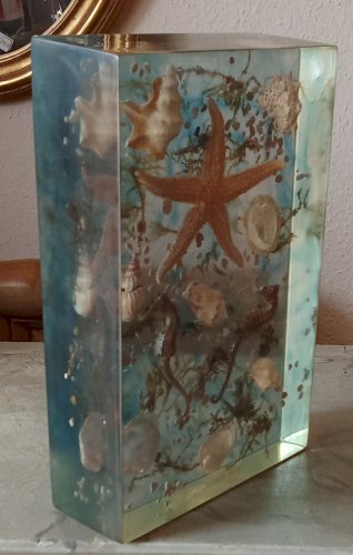 Ancienne Inclusion Résine Hypoccampe Coquillage Etoile Mer 1970  Resin Inclusion