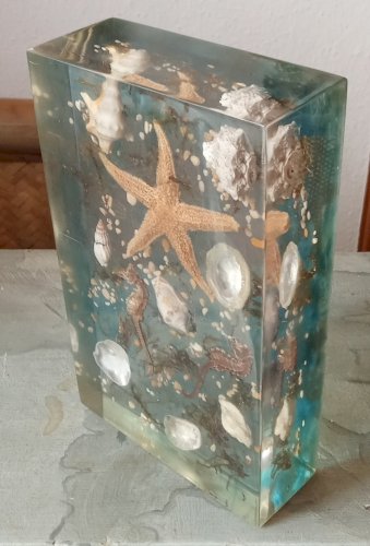 Ancienne Inclusion Résine Hypoccampe Coquillage Etoile Mer 1970  Resin Inclusion