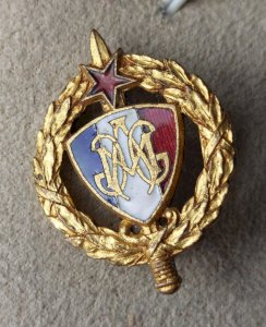 Ancienne insigne / médaille militaire émaillée, Mutilés de guerre ^