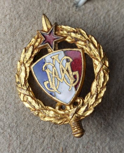 Ancienne insigne / médaille militaire émaillée, Mutilés de guerre ^