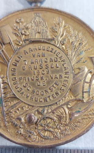 Ancienne médaille, Léopold II, Société agricole Bruxelles 1909, Belgique ^