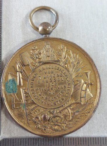 Ancienne médaille, Léopold II, Société agricole Bruxelles 1909, Belgique ^