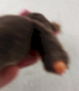 dot