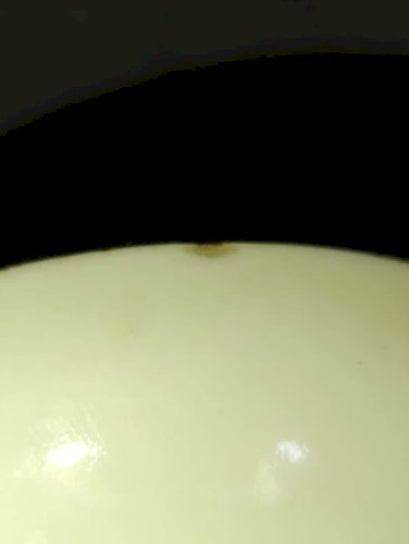 ancienne petit coupelle en porcelaine decor floral dorigine aisatique en bon etat