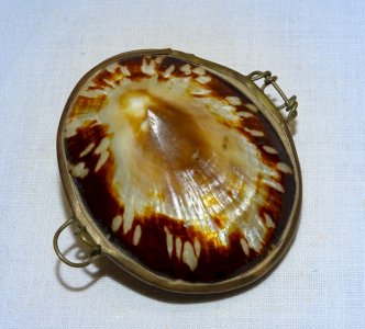 - ANCIENNE PETITE BOITE COQUILLAGE et MONTURE LAITON à CHAPELET ou PILULES   D