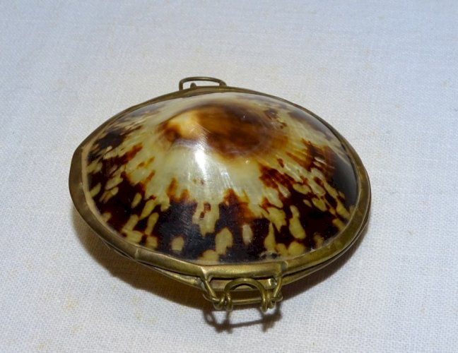 - ANCIENNE PETITE BOITE COQUILLAGE et MONTURE LAITON à CHAPELET ou PILULES   D
