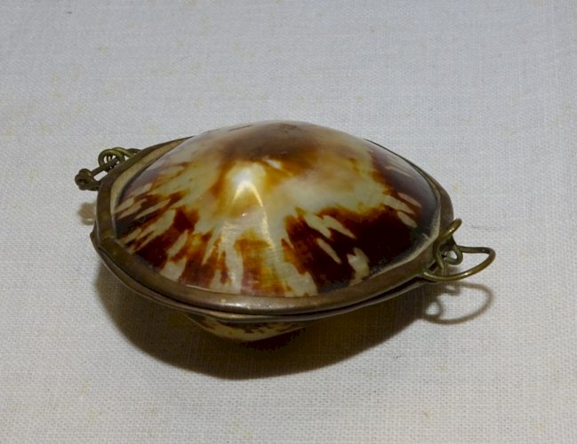 - ANCIENNE PETITE BOITE COQUILLAGE et MONTURE LAITON à CHAPELET ou PILULES   D