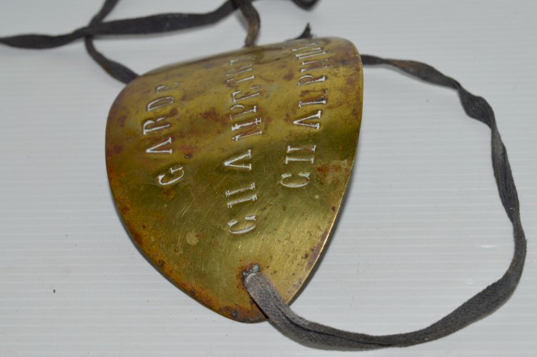 -ANCIENNE PLAQUE de METIER GARDE CHAMPETRE de BRAS LAITON jus grenier CHARENTE
