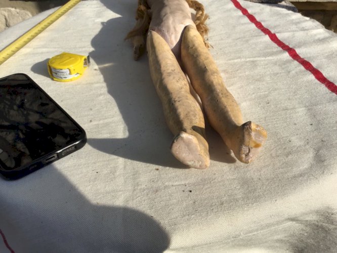 Ancienne Poupée Doll  MONTREUIL DL JUMEAU A RESTAURER