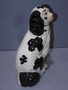 dot