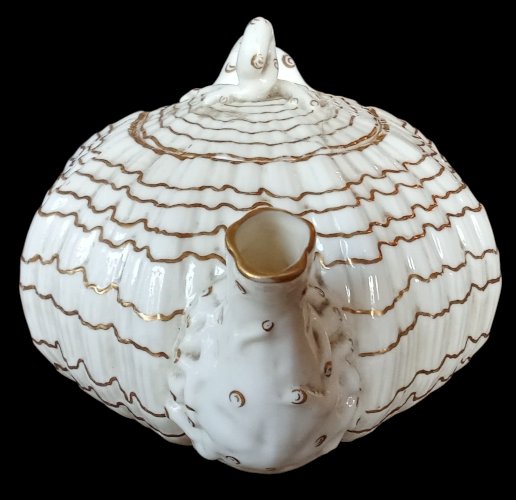 Ancienne Théière Ancien Crémier Porcelaine Belleek  Tridacna 19 Ème Siècle