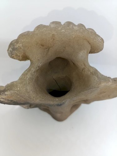 ancienne urne funéraire zapoteque mexique en bon etat   piece en terre cuite