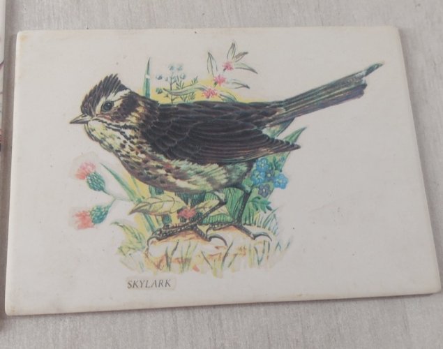 Anciennes plaques / tableaux muraux, sur céramique, oiseaux ^