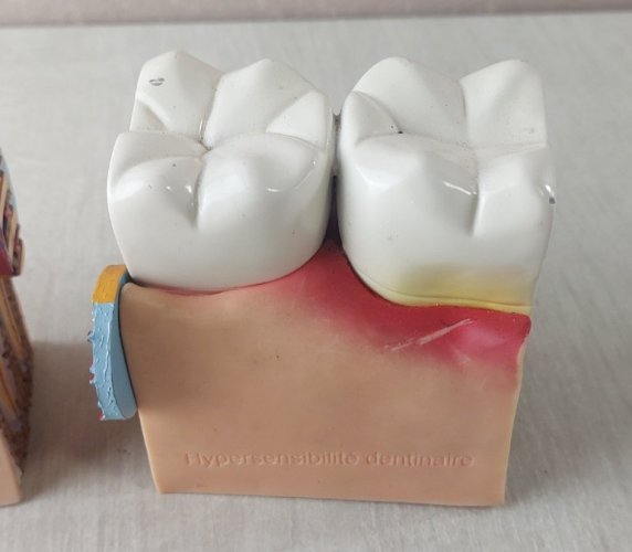 Anciens objets publicitaires / curiosité / éducatif, dents, Signal Sensitive