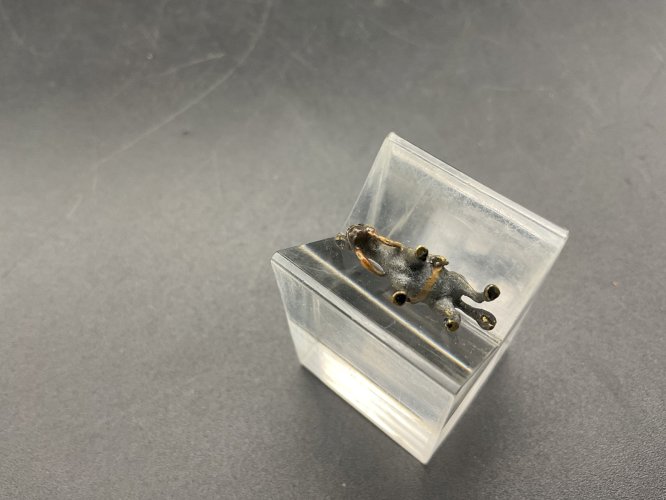 Âne bronze de Vienne  Austrian Wien cold painted .