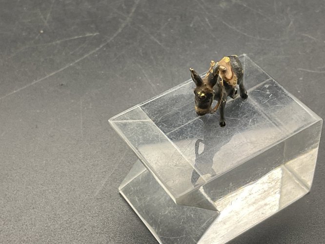 Âne bronze de Vienne  Austrian Wien cold painted .