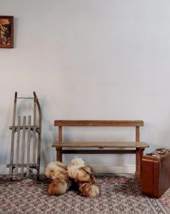 Antoine, the large light wood bench N°277