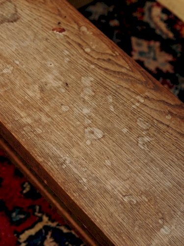 Antoine, le grand banc en bois N°249