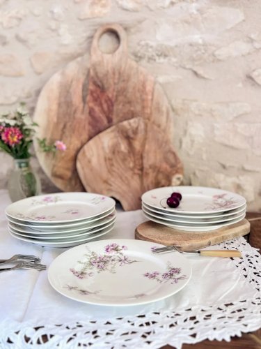 Antoinette, le lot de 10 assiettes plates N°193