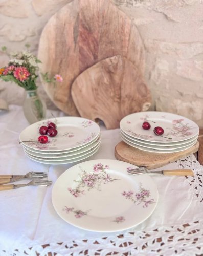 Antoinette, le lot de 10 assiettes plates N°193