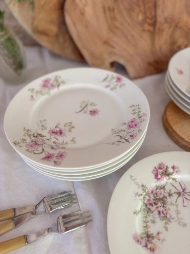 Antoinette, le lot de 10 assiettes plates N°193