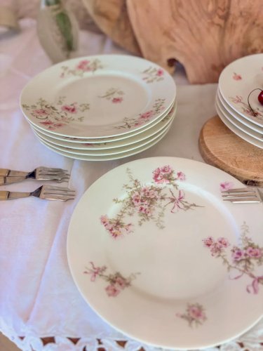 Antoinette, le lot de 10 assiettes plates N°193