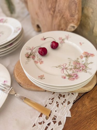 Antoinette, le lot de 10 assiettes plates N°193