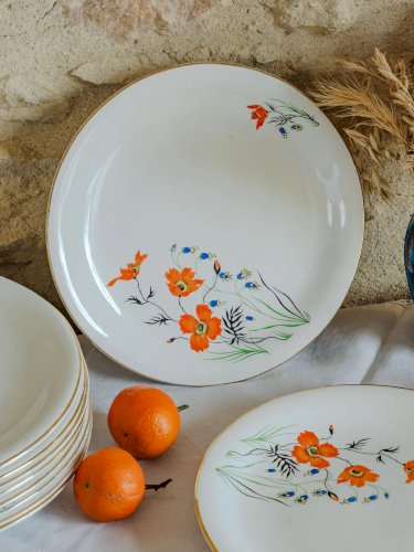 Antoinette, le lot de 12 assiettes Digoin Sarreguemines N°229